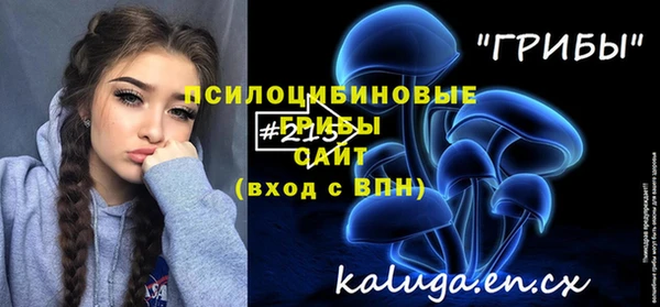 хмурый Липки