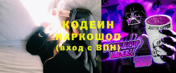 хмурый Липки