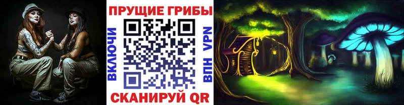 Галлюциногенные грибы мицелий  Шенкурск 